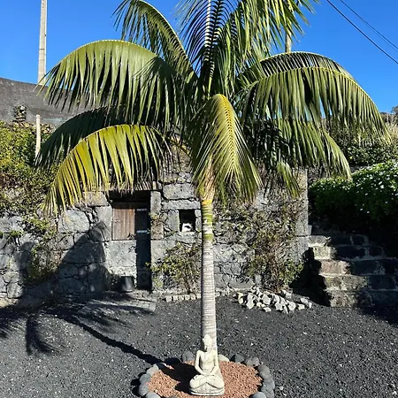 Casa Sia * Calheta de Nesquim